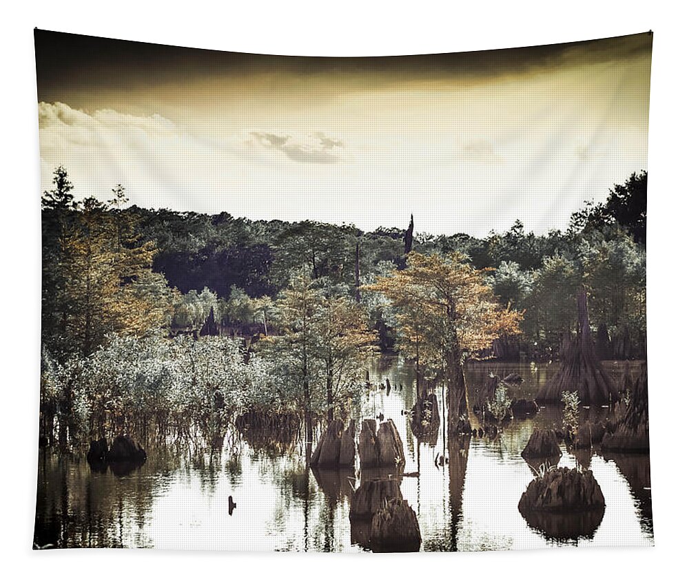 Dead Lakes Tapestry featuring the photograph Dead Lakes Grunge Style by Debra Forand