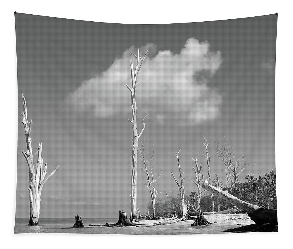 Photo For Sale Tapestry featuring the photograph Dead on Stump Pass Beach by Robert Wilder Jr