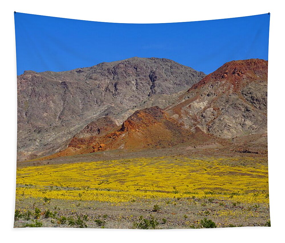 Death Tapestry featuring the photograph Death Valley Superbloom by Tranquil Light Photography