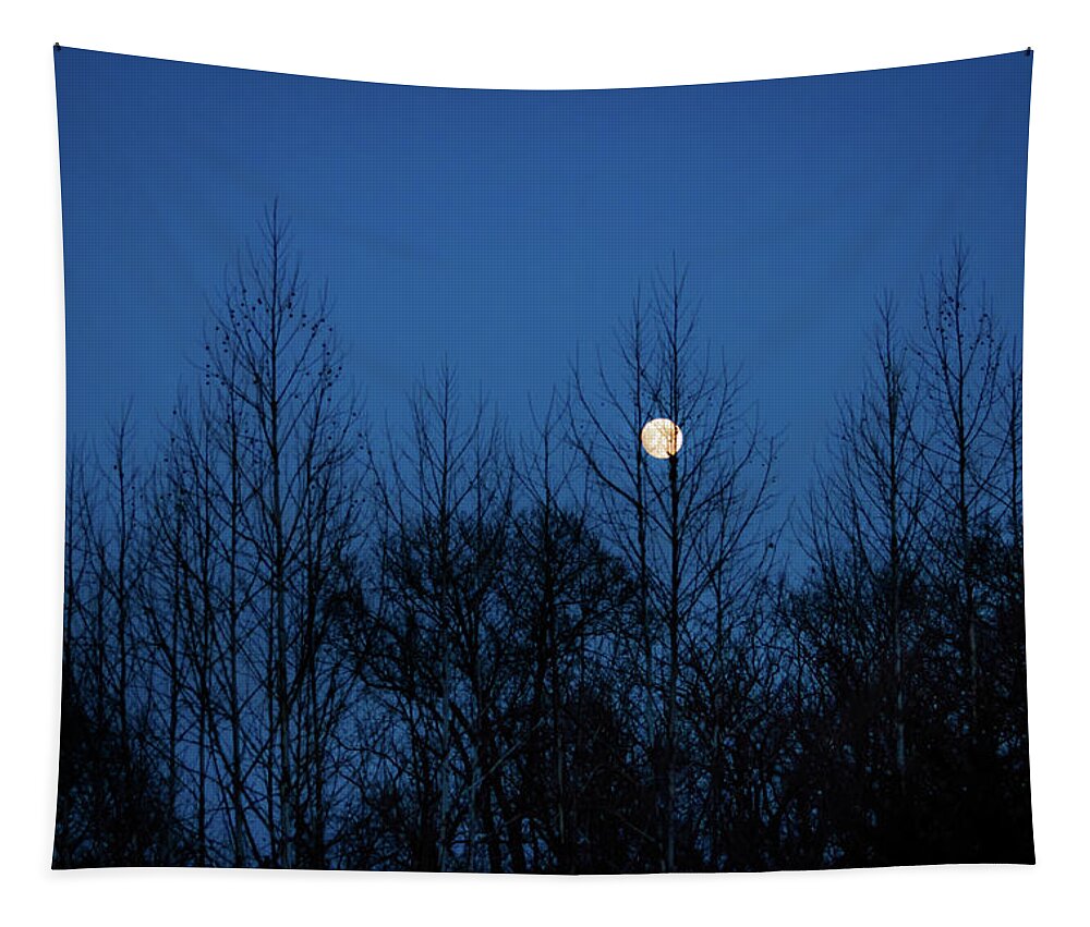 Moon Tapestry featuring the photograph December Moon by Jeff Phillippi