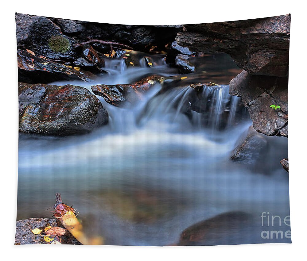 Stream Photograph Tapestry featuring the photograph Decompression by Jim Garrison