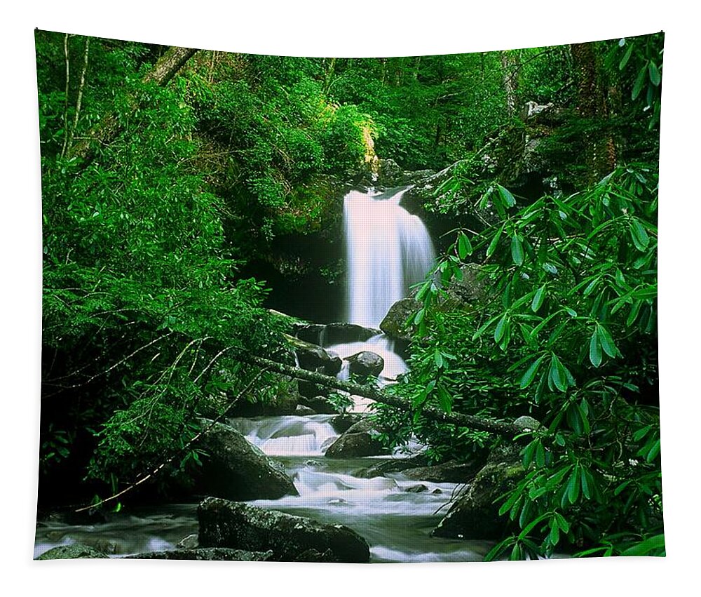 Waterfall Tapestry featuring the photograph Deep In The Smoky Mountains by Rodney Lee Williams