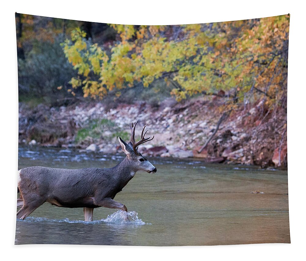 Zion Tapestry featuring the photograph Deer Crossing River by Wesley Aston