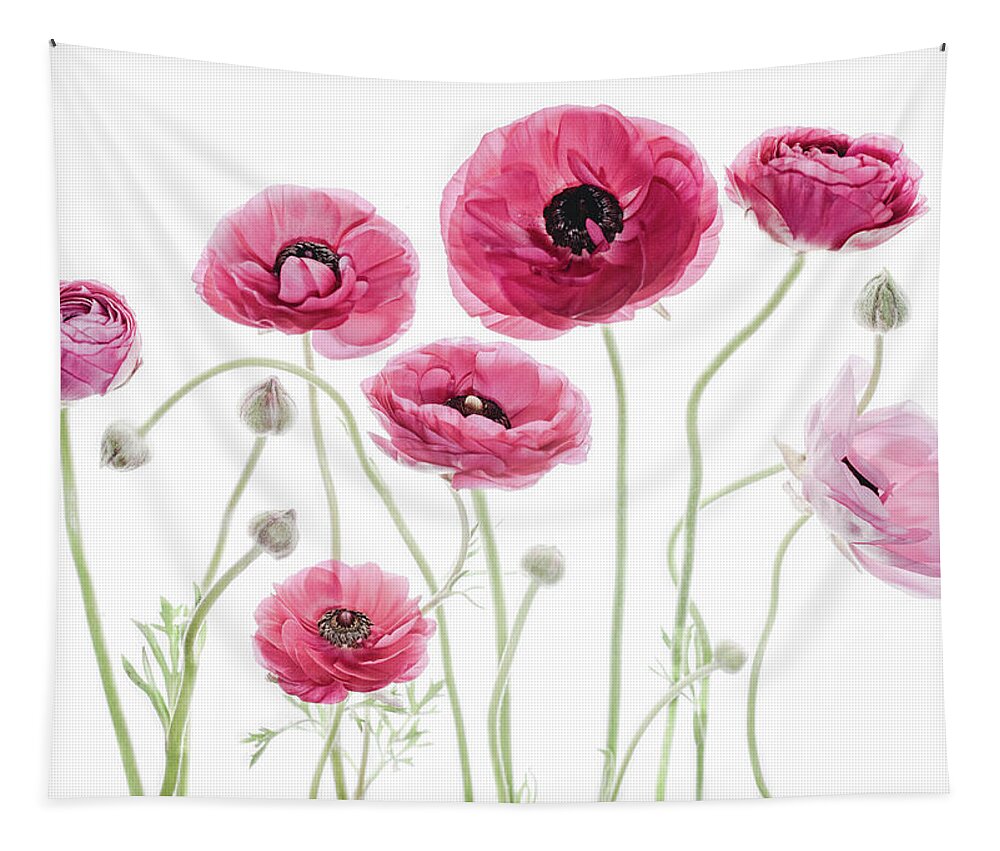 Ranunculus Tapestry featuring the photograph Delicate Arrangement by Rebecca Cozart