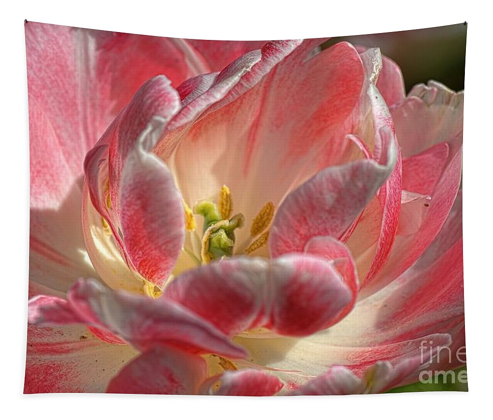 Tulips Tapestry featuring the photograph Delicate by Diana Mary Sharpton