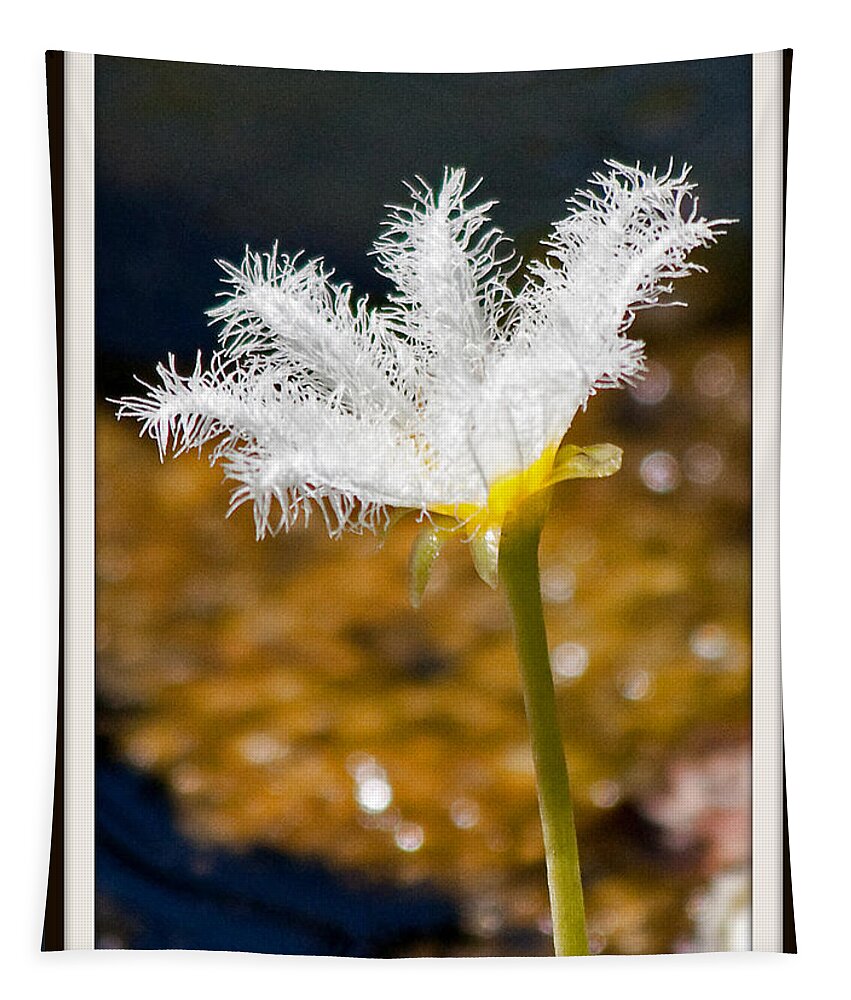 Lily Tapestry featuring the photograph Delicate Lily by Farol Tomson