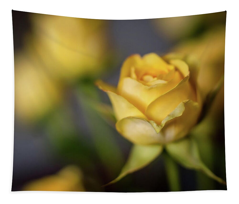 Terry D Photography Tapestry featuring the photograph Delicate Yellow Rose by Terry DeLuco