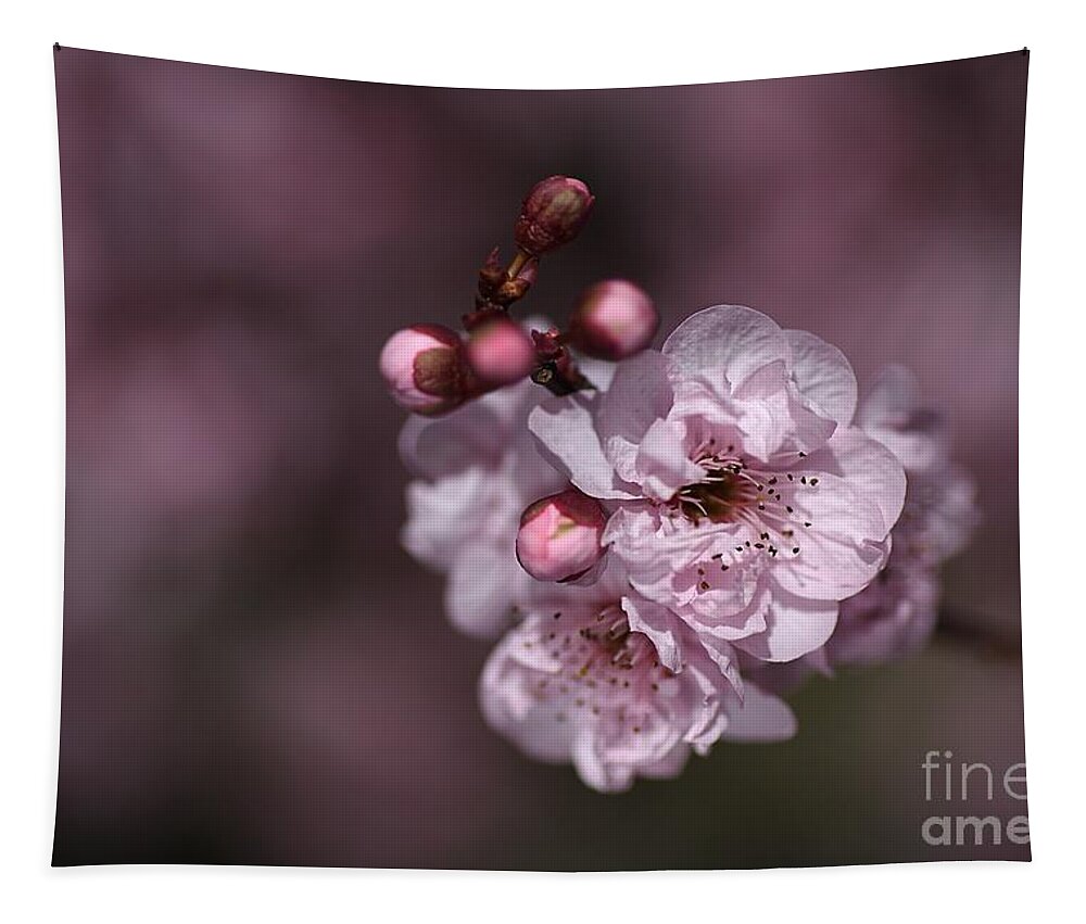 Bubbleblue Tapestry featuring the photograph Delightful Pink Prunus Flowers by Joy Watson