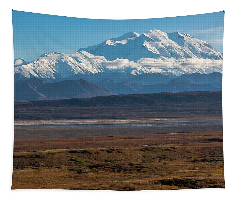 Alaska Tapestry featuring the photograph Denali by Brenda Jacobs
