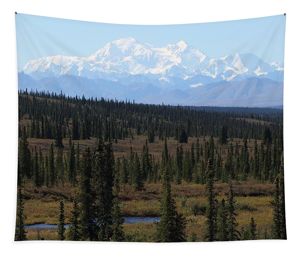 Denali Tapestry featuring the photograph Denali From The Denali Highway by Steve Wolfe
