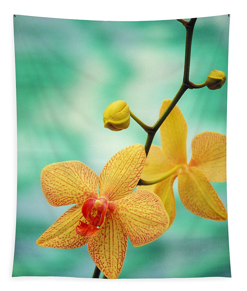 26-csm0163 Tapestry featuring the photograph Dendrobium by Allan Seiden - Printscapes