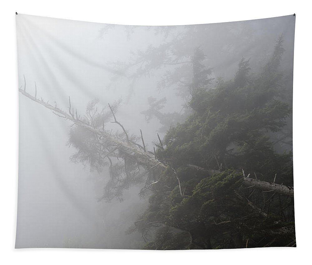 Cannon Beach Tapestry featuring the photograph Dense Fog by Robert Potts