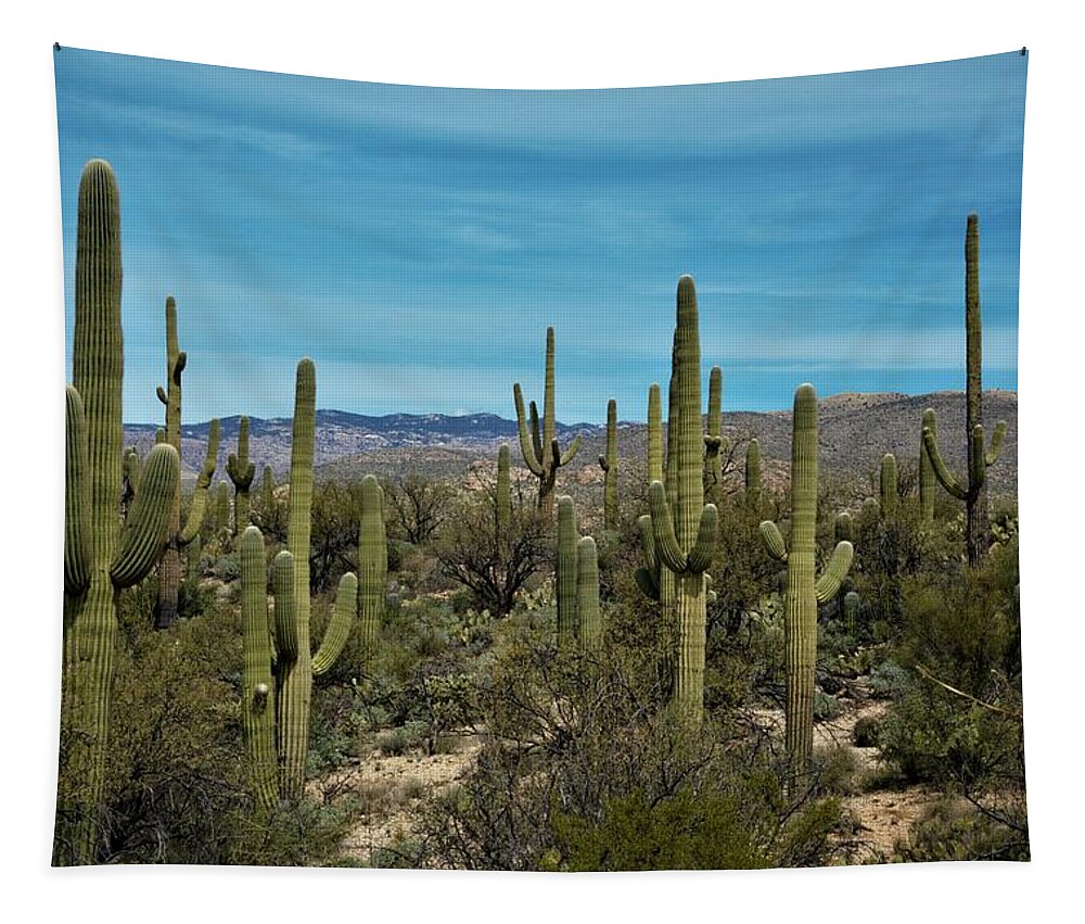Arizona Tapestry featuring the photograph Desert Kings by David S Reynolds