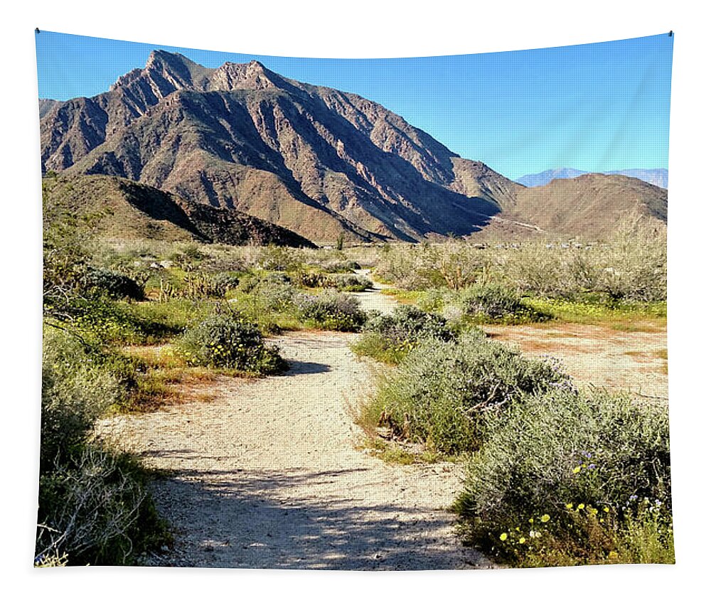 Anza Borrego Desert State Park Tapestry featuring the photograph Desert Landscape by Michelle Joseph-Long