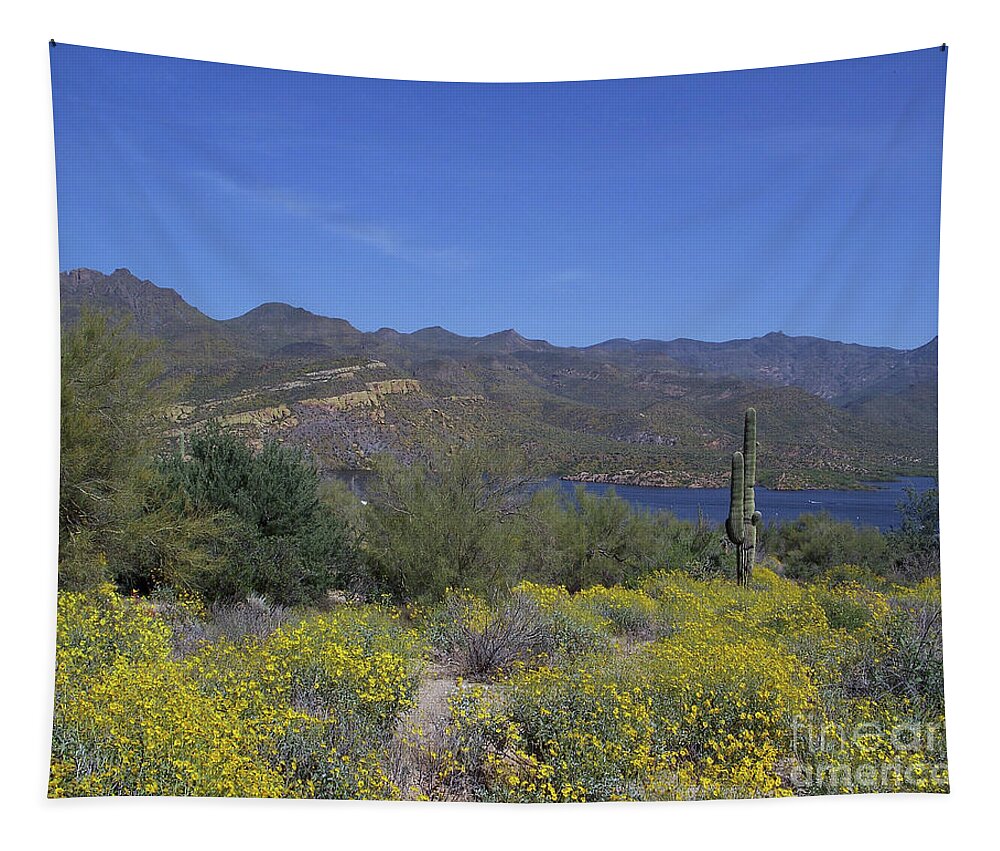 Mountains Tapestry featuring the photograph Desert Oasis by Kelly Holm