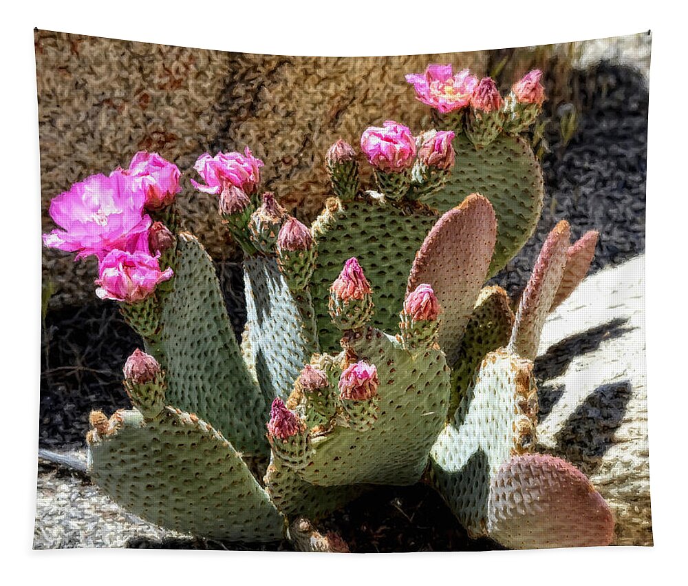 Desert Plants Tapestry featuring the photograph Desert Plants - Fuchsia Cactus Flowers by Glenn McCarthy Art and Photography