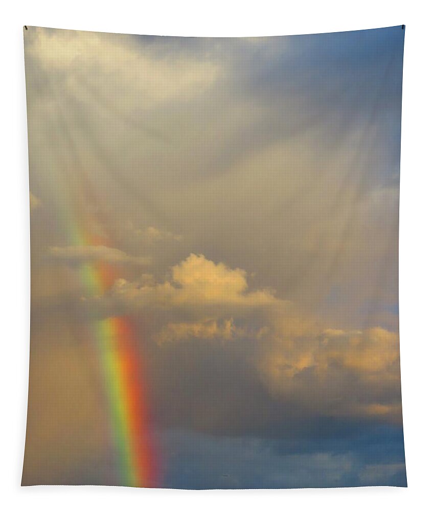 Places Tapestry featuring the photograph Desert Rainbow by Judy Kennedy