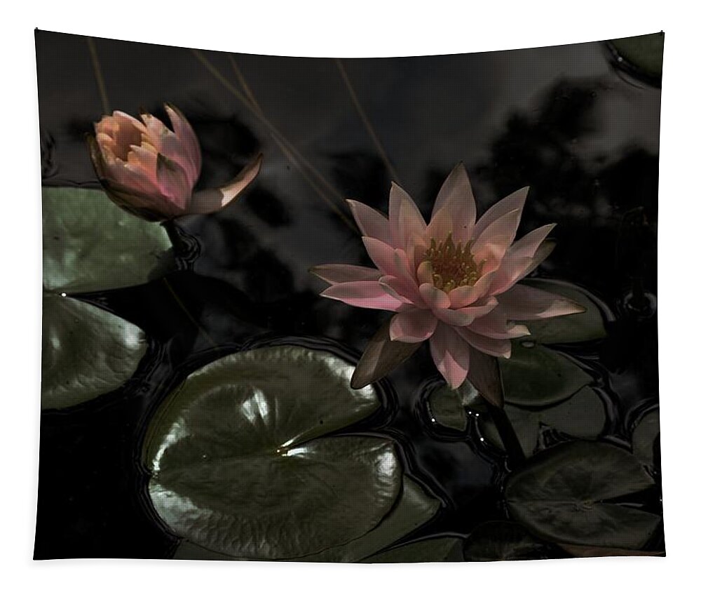 Water Tapestry featuring the photograph Deuces in the Moonlight by Lesa Fine