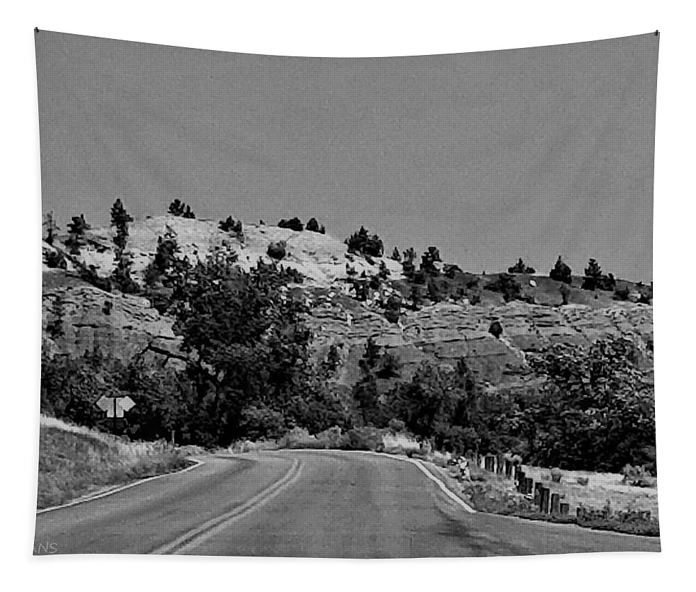 Beautiful Tapestry featuring the photograph Devil's Tower Red Rock Road B W by Rob Hans