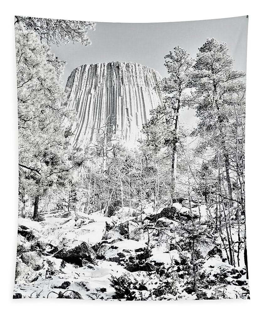 Devils Tower Tapestry featuring the photograph Devils Tower Wyoming by Merle Grenz