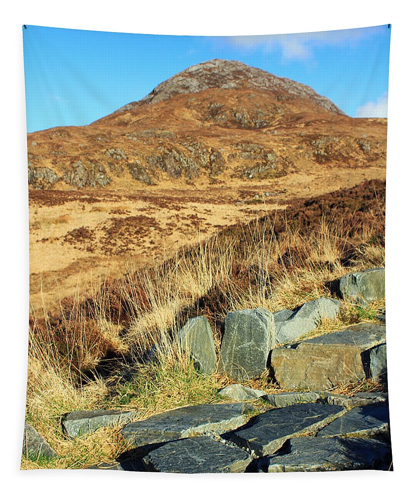 Landscapes Tapestry featuring the photograph Diamond Hill by Jennifer Robin