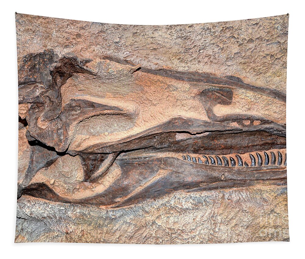Dinosaur Skull Tapestry featuring the photograph Dinosaur Skull and Teeth in Rock - Utah by Gary Whitton