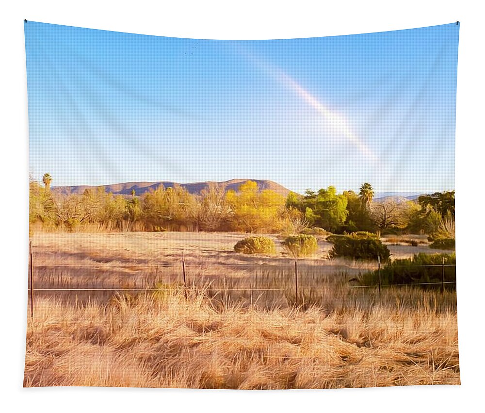 Landscape Tapestry featuring the photograph Discovery Street by Alison Frank