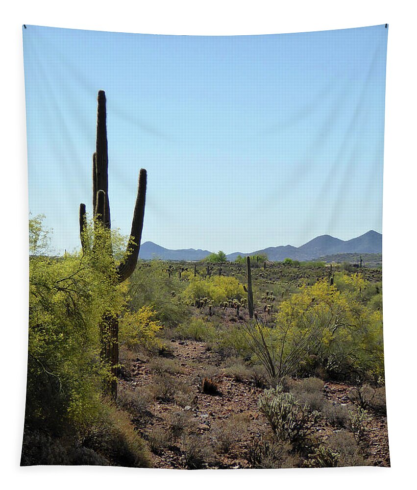 Arizona Tapestry featuring the photograph Distant Hills by Gordon Beck