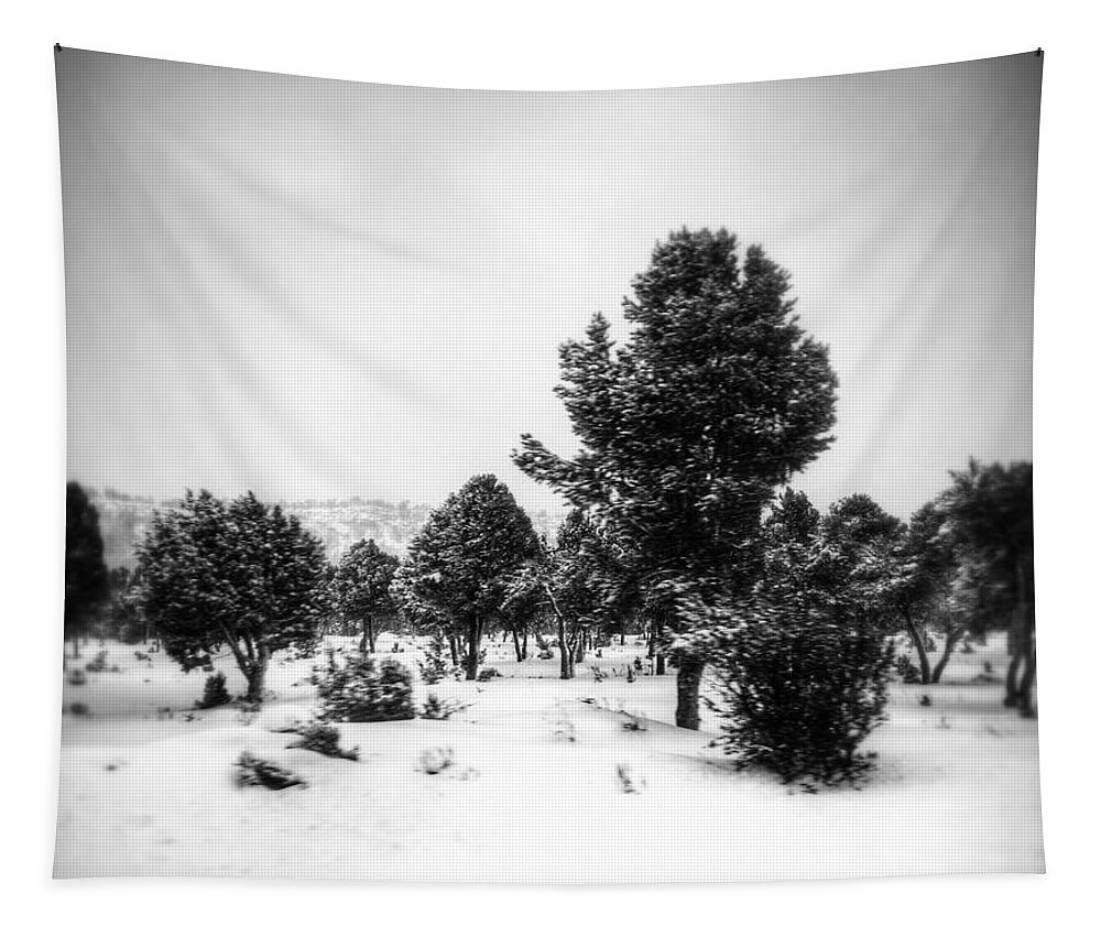 Winter Tapestry featuring the photograph Distant by Mark Ross
