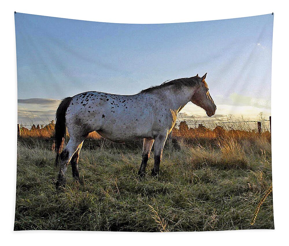 Appaloosa Tapestry featuring the photograph Distant thoughts by Susan Baker