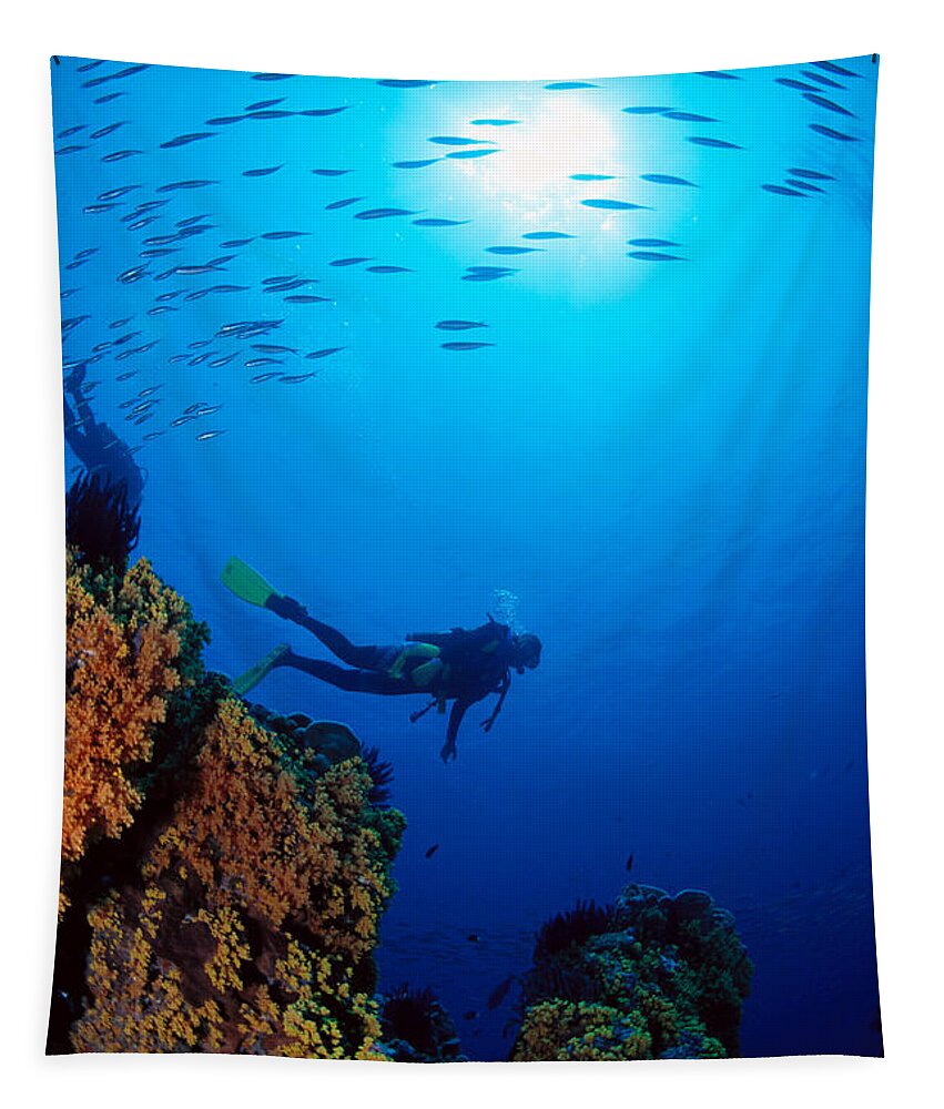 Bubble Tapestry featuring the photograph Diving Scene by Ed Robinson - Printscapes