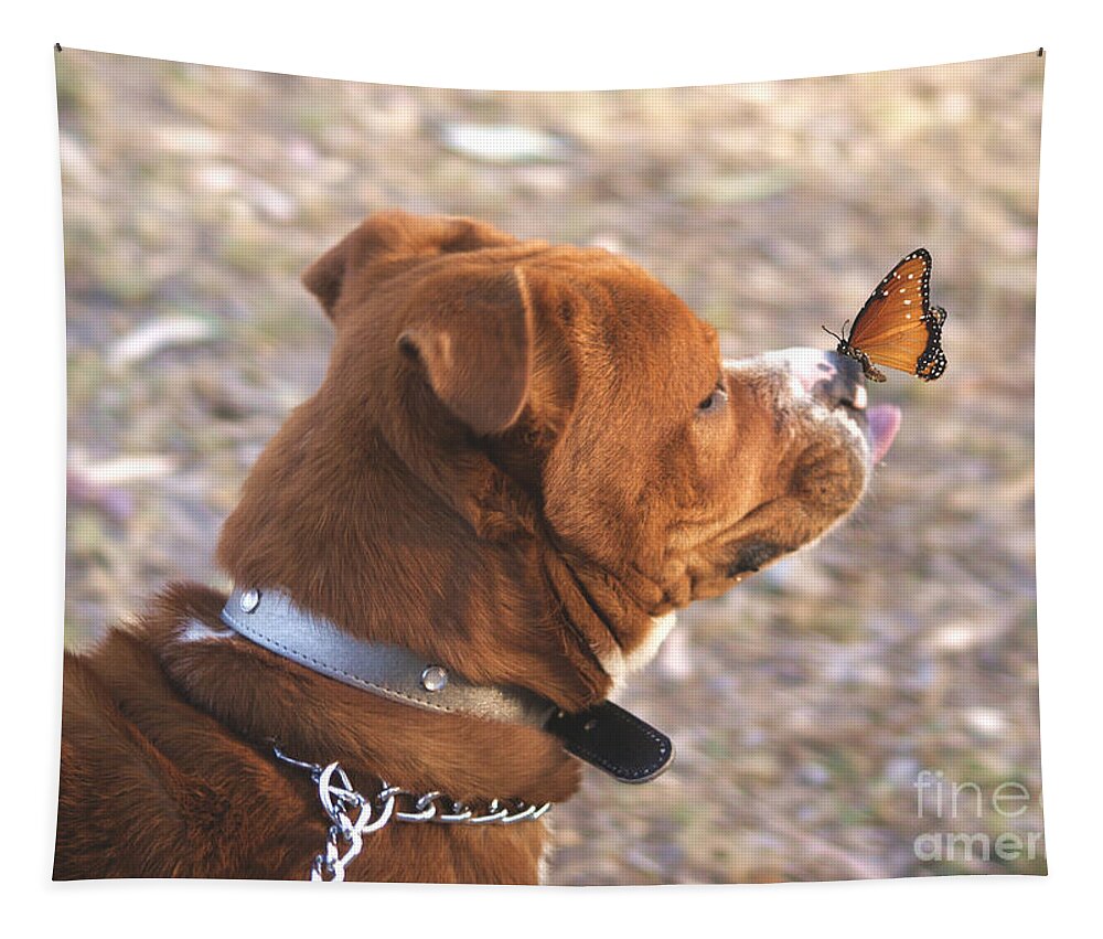 Pit Bull Tapestry featuring the digital art Dog And Butterfly by John Kolenberg