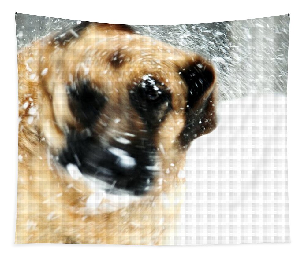 Animals Tapestry featuring the photograph Dog Blizzard - German Shepherd by Angie Tirado