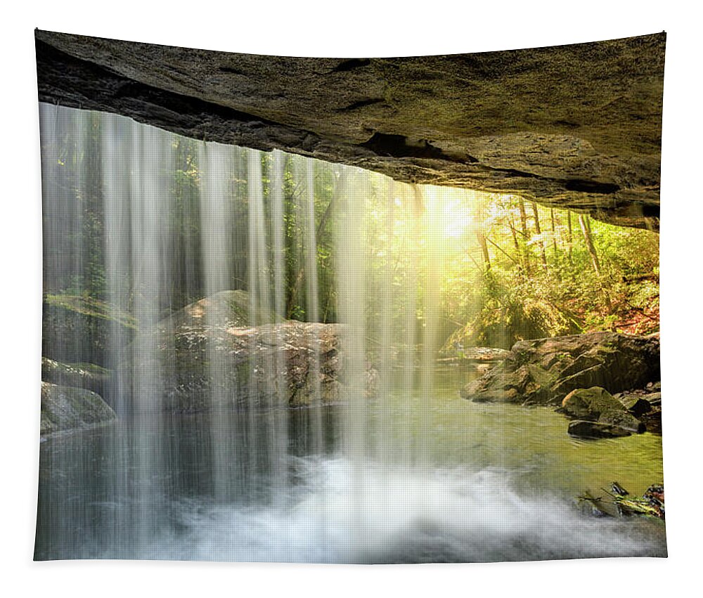 Daniel Boone National Forest Tapestry featuring the photograph Behind Dog Slaughter Falls by Alexey Stiop