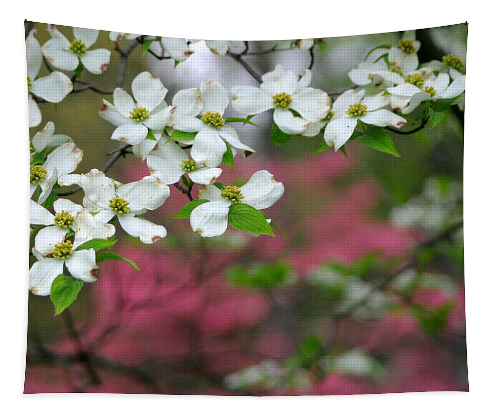 Dogwood Tapestry featuring the photograph Dogwood Days by Living Color Photography Lorraine Lynch
