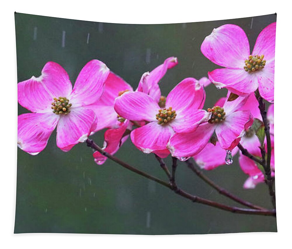 Dogwood Flowers Tapestry featuring the photograph Dogwood Flowers in the Rain 0552 by Jack Schultz