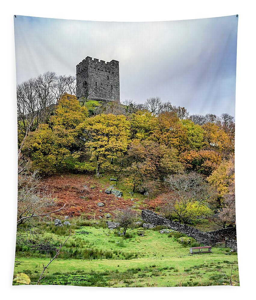 Dolwyddelan Castle Tapestry featuring the photograph Dolwyddelan Castle by Adrian Evans