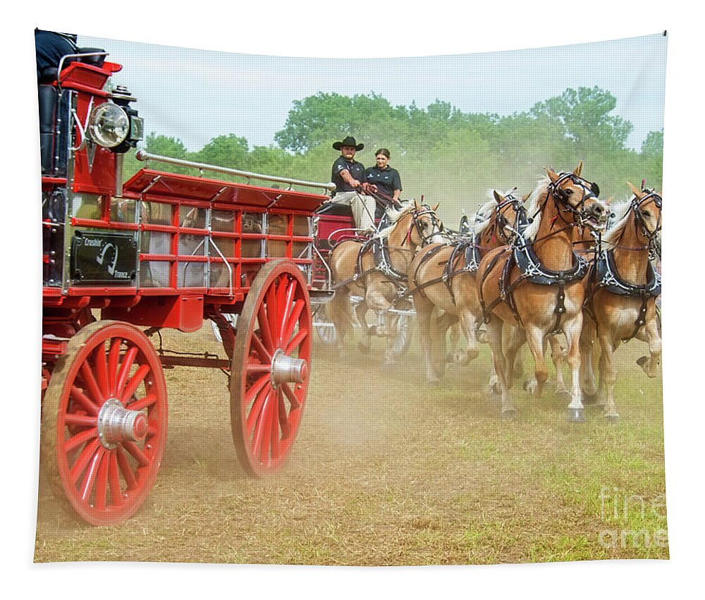 Haflinger Tapestry featuring the photograph Don't Kill The Photographer by David Arment