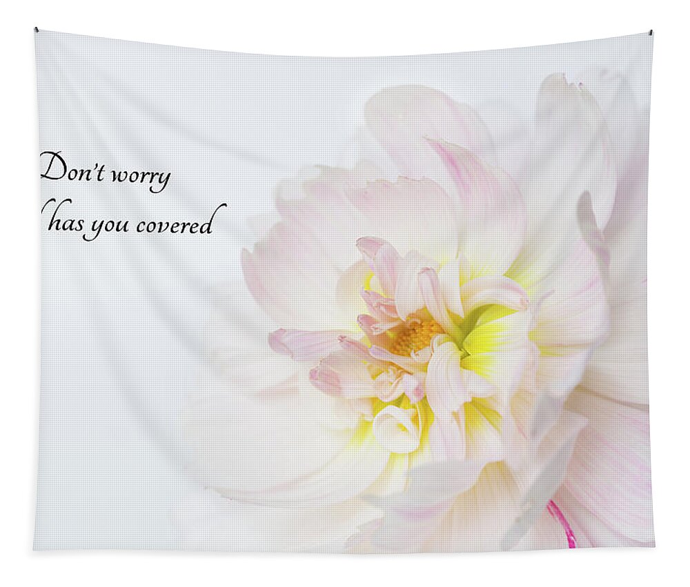 Dahlia Tapestry featuring the photograph Don't Worry by Mary Jo Allen