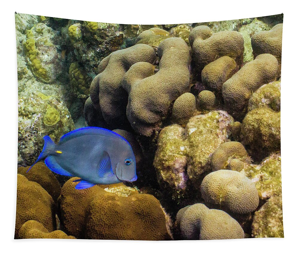 Ocean Tapestry featuring the photograph Dori's Cousin by Lynne Browne