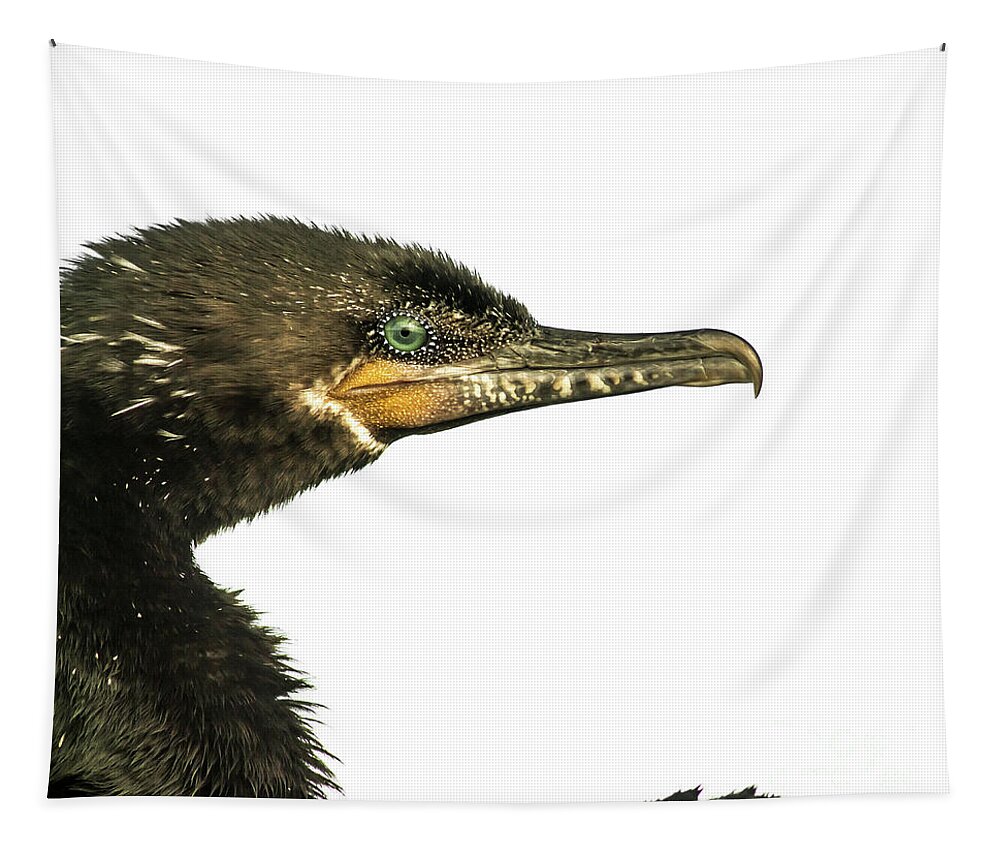 Nature Tapestry featuring the photograph Double-crested Cormorant by Robert Frederick
