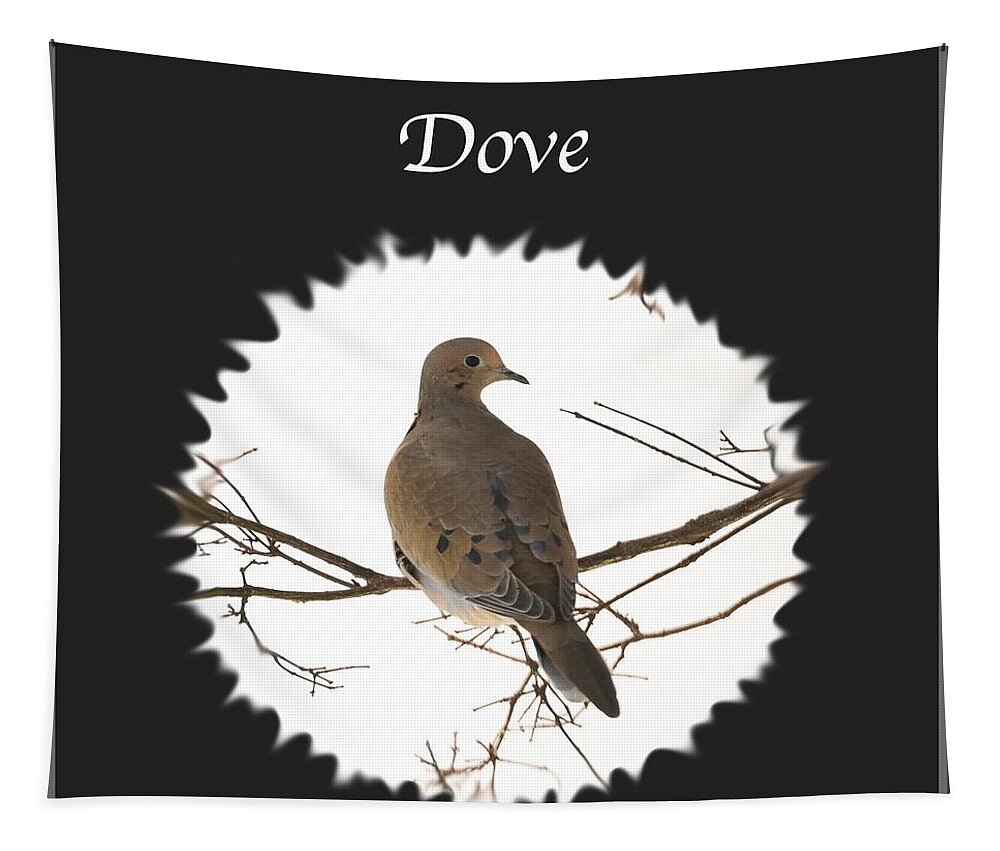Dove Tapestry featuring the photograph Dove by Holden The Moment