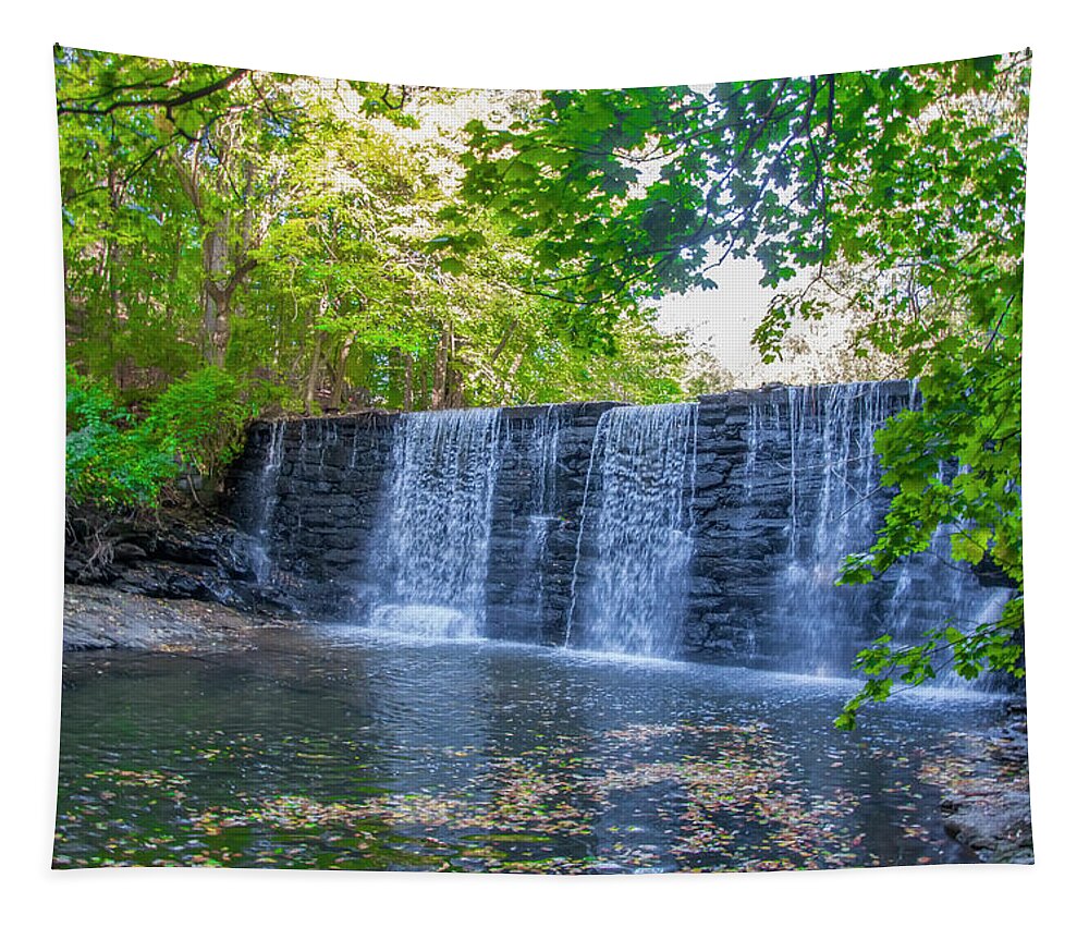 Dove Tapestry featuring the photograph Dove Lake Waterfall at Mill Creek Gladwyne Pa by Bill Cannon