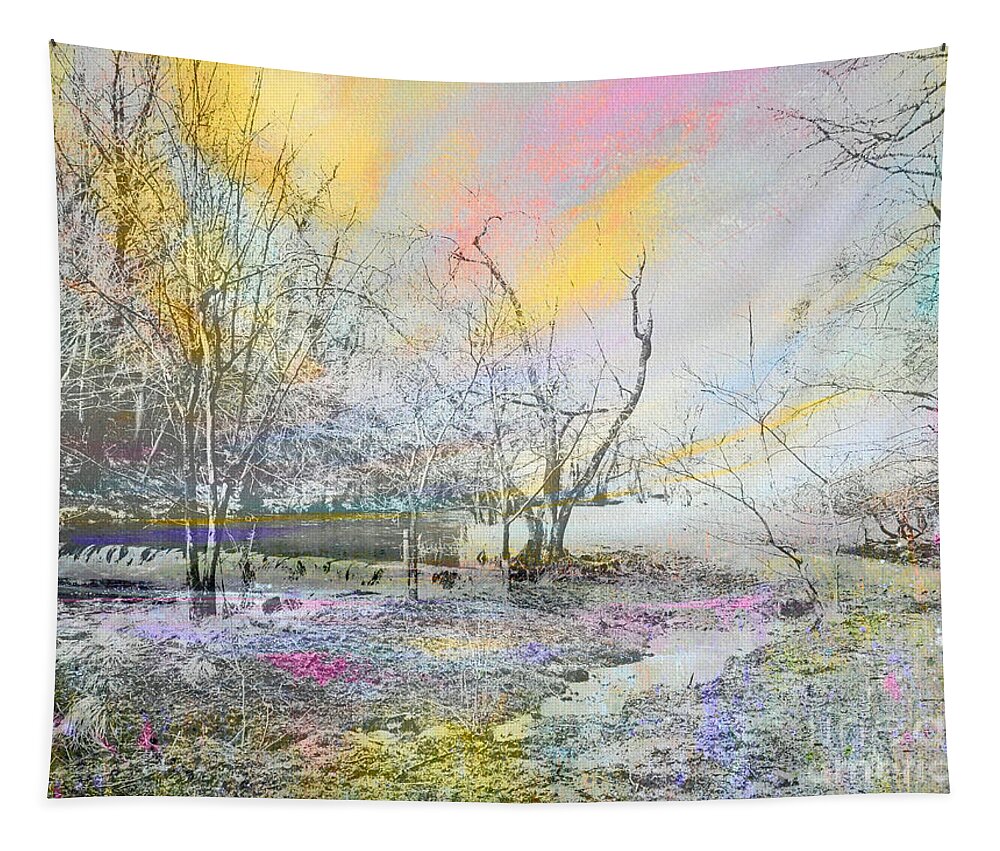 Dovedale Tapestry featuring the photograph Dovedale In Winter by Tracy-Ann Marrison
