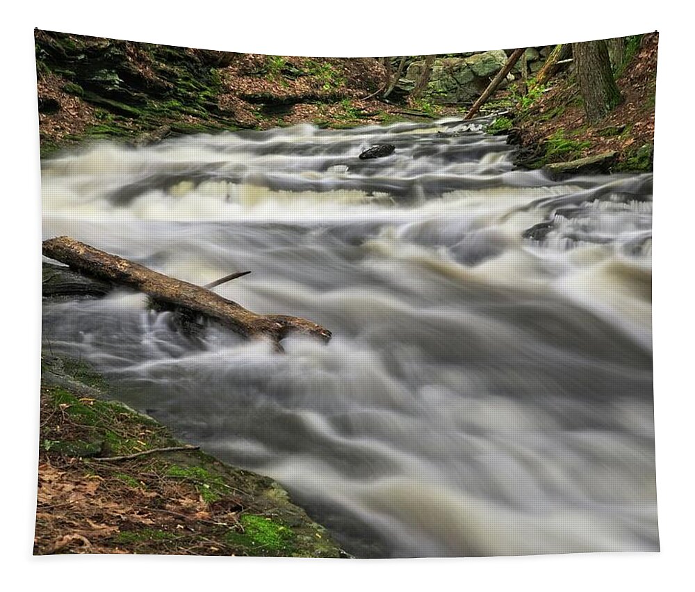 Waterfall Tapestry featuring the photograph Down The Throat by Allan Van Gasbeck