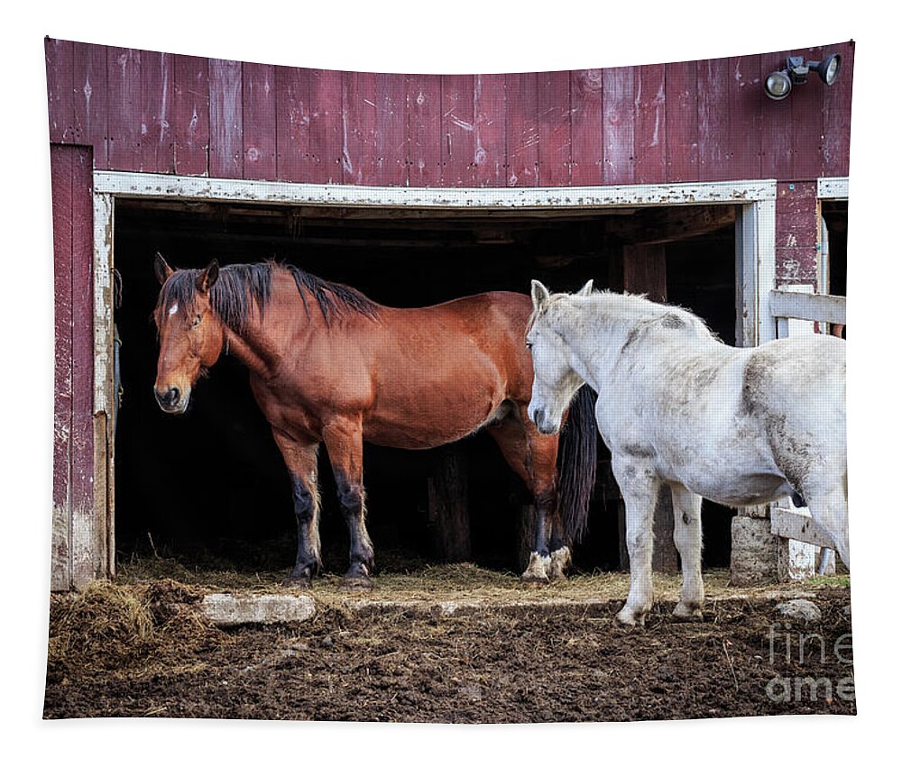 Draft Horses Tapestry featuring the photograph Draft Horses by Jim Gillen