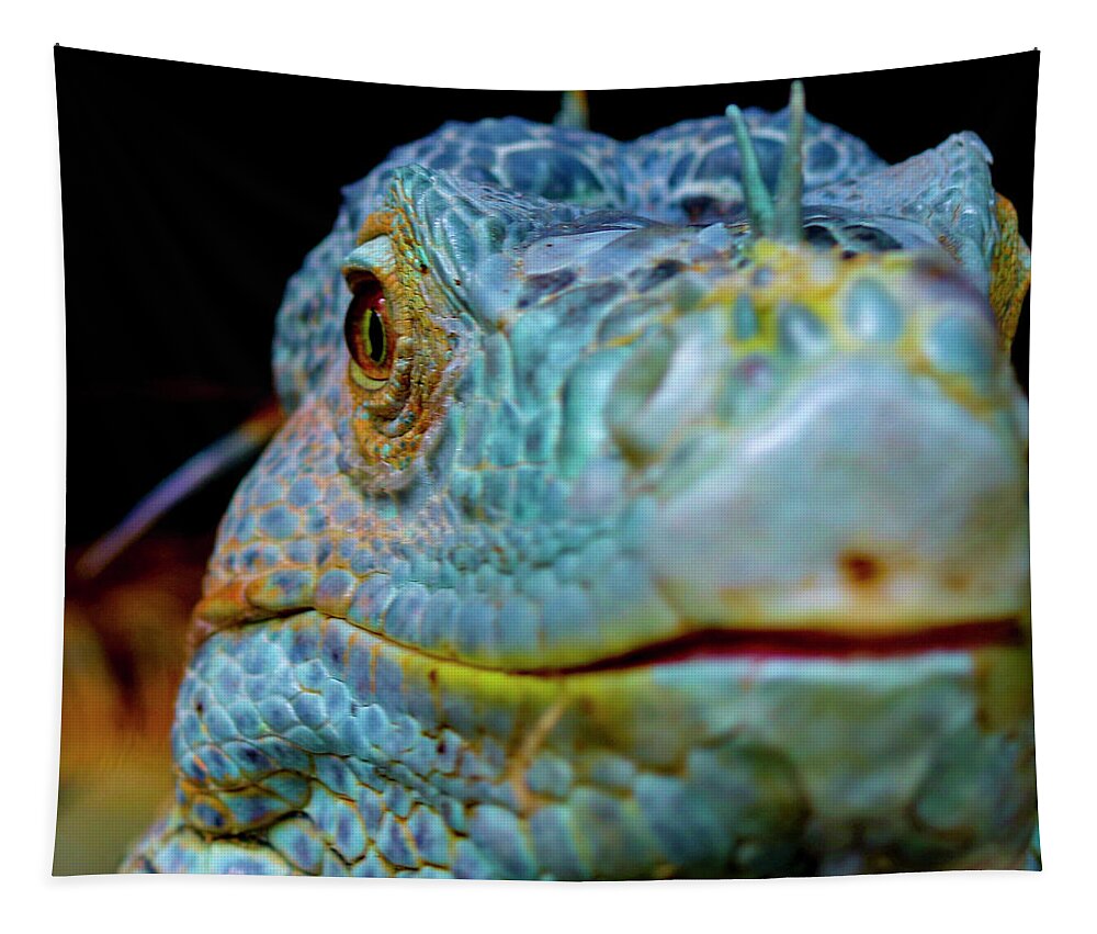 Photo For Sale Tapestry featuring the photograph Dragon Eye by Robert Wilder Jr