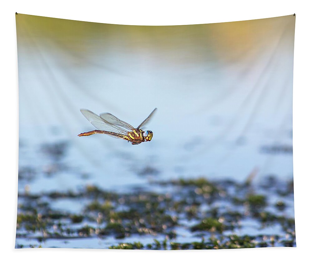 Dragonfly Tapestry featuring the photograph Dragonfly Flight by Mark Andrew Thomas