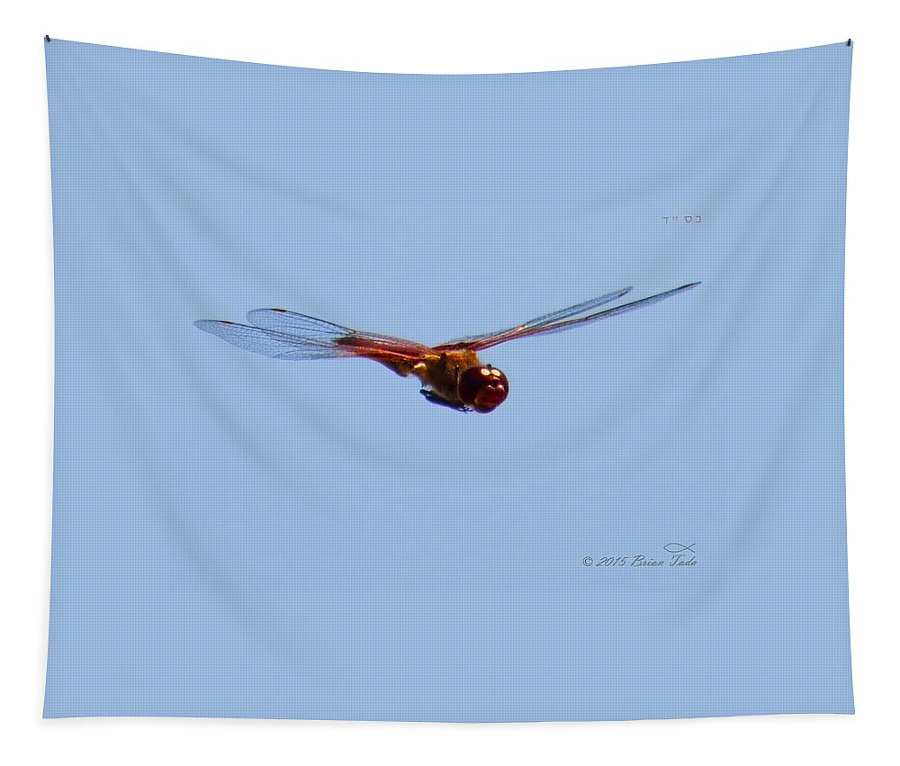 Dragonfly Tapestry featuring the photograph Dragonfly In Flight Close Up by Brian Tada