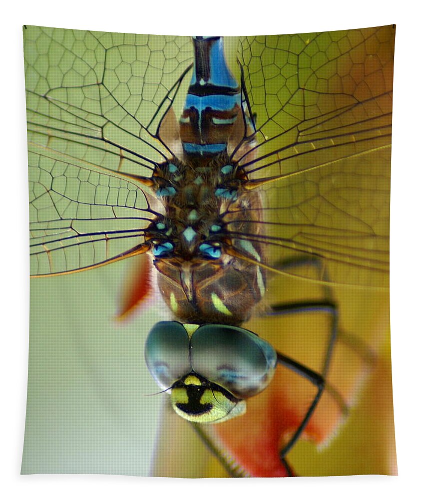 Dragonfly Tapestry featuring the photograph Dragonfly in Thought by Ben Upham III
